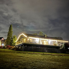 -Towering-Blue-Spruce-Tree-Wrap-Installation- 2